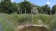 Biodiverse Landscape