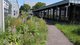 Biodiverse Landscape
